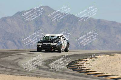 media/Oct-11-2025-Lucky Dog Racing (Sat) [[f5b53147c4]]/4-Third Stint/1-Turn 12/